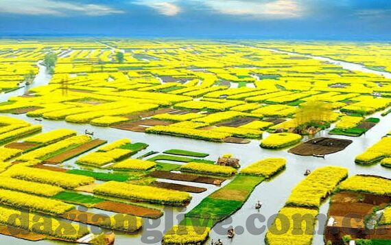 91麻豆国产福利在线观看-午夜驿站，解锁国产麻豆91的秘密花园