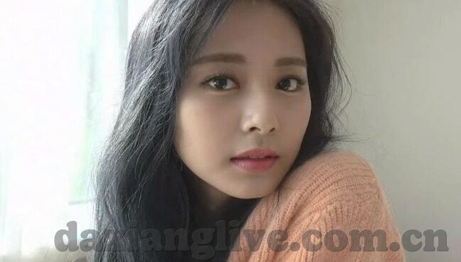 向日葵视频成人app下载-探索向日葵视频，成人娱乐的数字化潮流